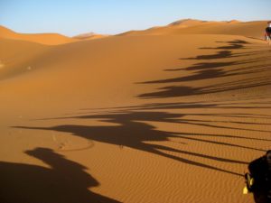 Camel Caravan in the Sahara