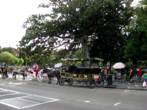 Horse and Carriage, New Orleans